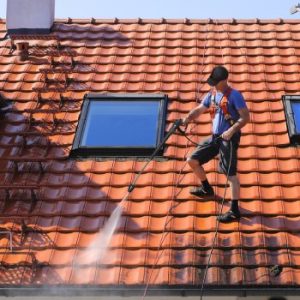 Roof_Cleaning